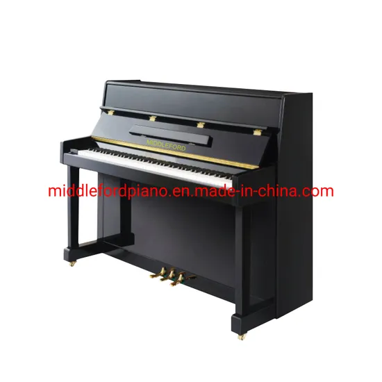 High Quality Price Discount Safe and Interesting Mini Upright Piano Blue Educational Instrument for Children and Adults