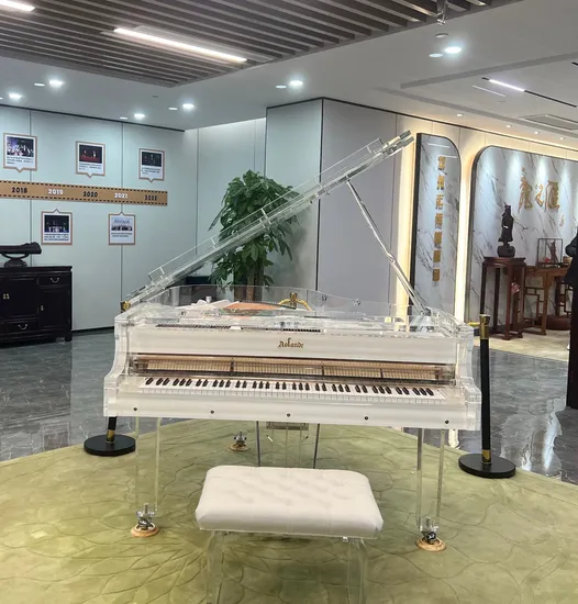 Premium Quality Clear Popular Acrylic Grand Piano with The Pianodisc Self Player System