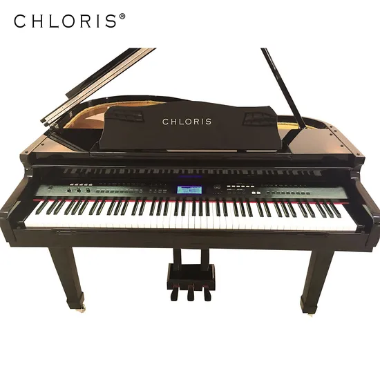 Chloris 88 Keys Baby Grand Digital Piano China Cdg1200e