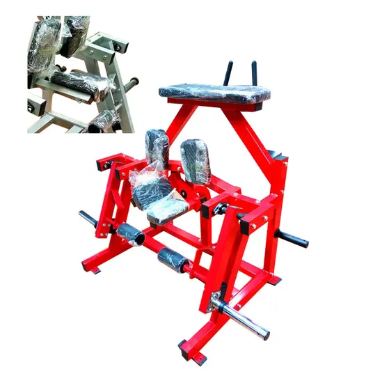 Professional Gym Equipment with Leg Exercise Machine