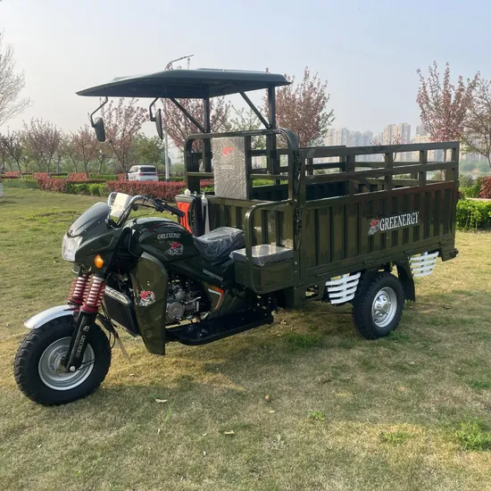 2025 Most Popular 200cc Water-Cooled Gasoline Cargo Three-Wheeled Motorcycle
