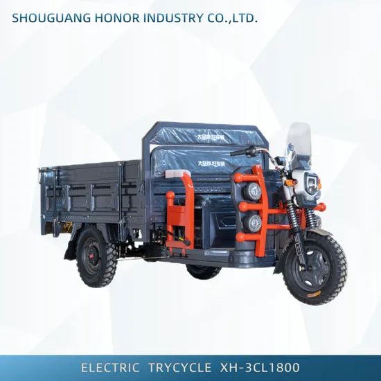 Heavy Duty Delivery Truck High-Performance 3 Wheel Electric Vehicles