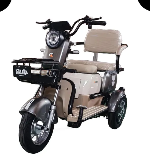 China New 48V 20ah Scooter Electric Tricycle Carrying People and Goodsreference Type 3 Wheel Motorcycle 650W Sine Wave Motor Electric Tricycle