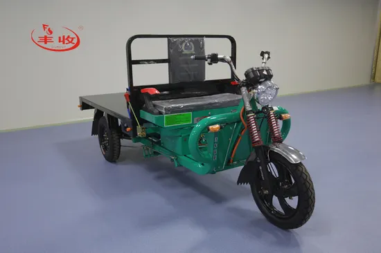 More Durable and Powerful Electric Flatbed Tricycle for Brick Factory