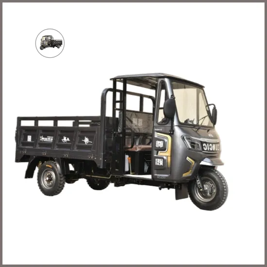 Carrying More Weight Than an Electric Tricycle I Fuel Multipurpose Tricycle