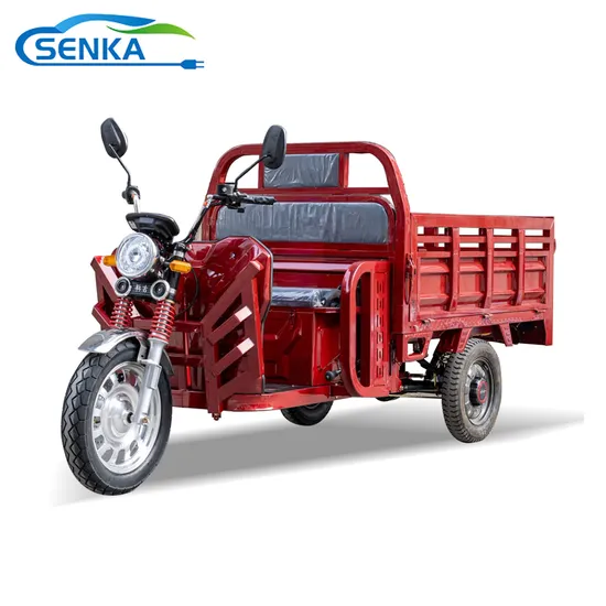 Senka High Quality EEC Motorcycle Vehicle 3 Wheel 1.6m Length Front Disc Brake Cargo Electric Tricycle