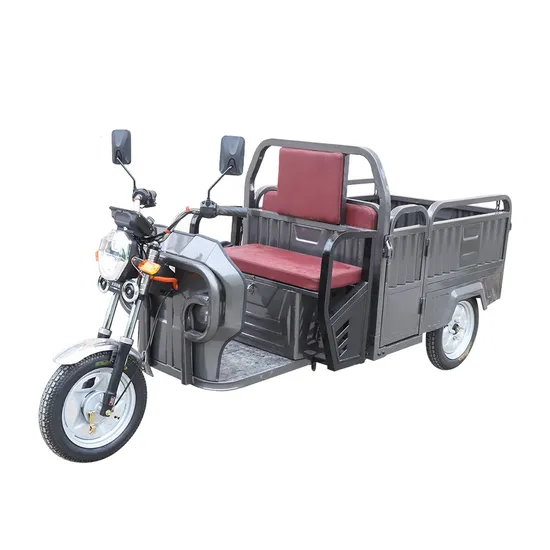 Trike Smart Adult Mini Cargo Electric Passenger Tricycles Foldable for Two