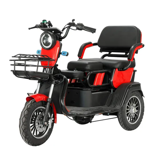 Single Driver Electric Cargo Tricycle with One Child