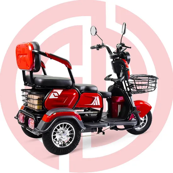 Cheap OEM 600W60V Silent Differential Motor Electric Tricycle