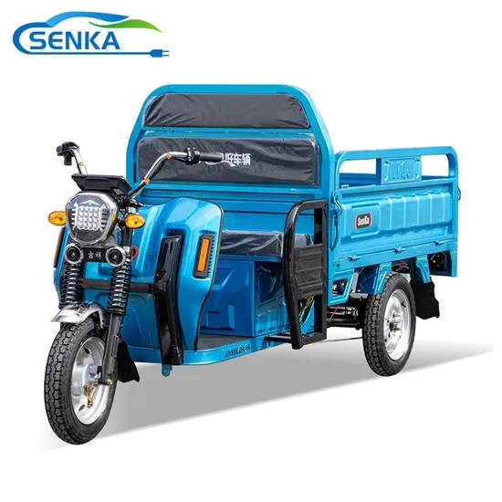 Senka EEC Xuzhou Factory Sale 1.3m Electric Motorcycle 3 Wheel Cargo Tricycle