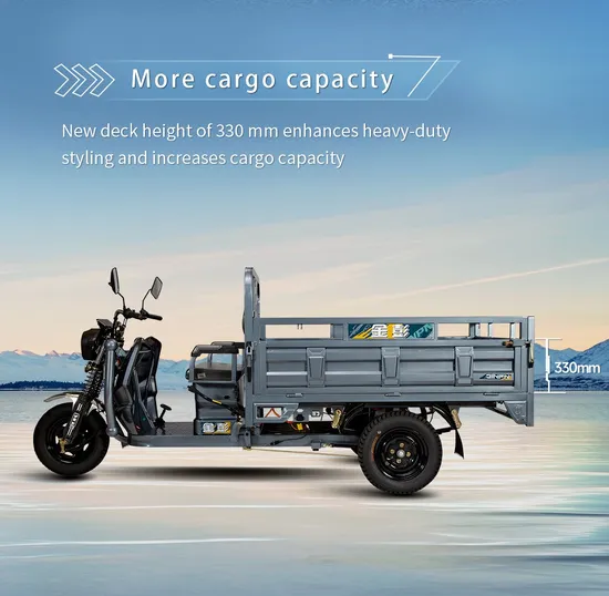 High Quality Heavy Load Wholesale Loader New Energy Vehicles Electric Tricycles Trike