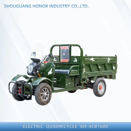 China New Energy 48V/60V Cargo Electric Tricycle Electric Quadricycle