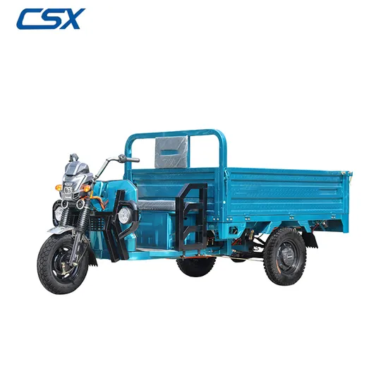 Hot Selling Electric Tricycle 3 Wheel High Loading Capacity Cargo Tricycle for EU Market