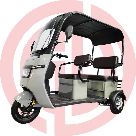 Quality 1000W Electric Tricycle for Passenger and Cargo Three Wheel Auto Rickshaw