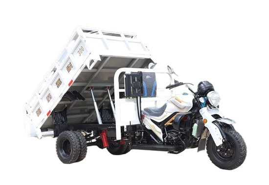 Heavy-Duty Longxin Three-Wheel Agricultural Motorcycle with Water Cooling