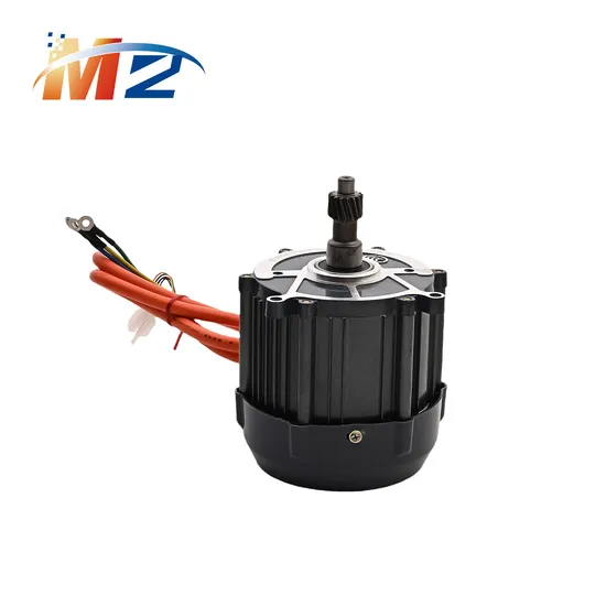 High Efficiency 1000W BLDC 48/60V 72V DC Brushless Motor for Rickshaw