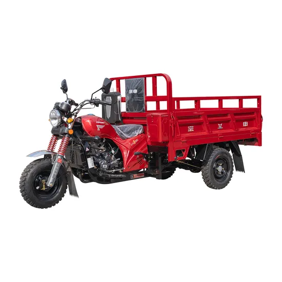 China Export Heavy Capacity Zongshen Cargo Motor Motorized Gasoline Adult 3 Three Wheel Passenger Bicycle Motorcycle Trike Tricycle China Factory Price for Sale