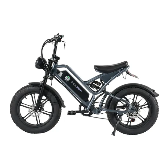 20" 1000W 18ah Electric Fat Snow Tire Full Electric Bikemountain Electric Bike