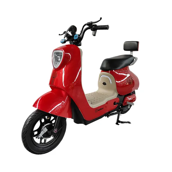Warehouse Electric Bike Electric Dirt Bike for Adult E Bikes 48V 350W