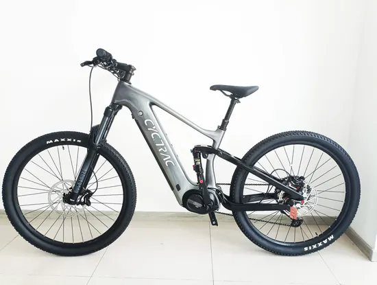 48V 750W Carbon 29 Inch MID Drive E Bike MTB Dual Full Suspension Ebike Emtb Electric Bicycle Mountain Bike 29 Inch Full Suspension