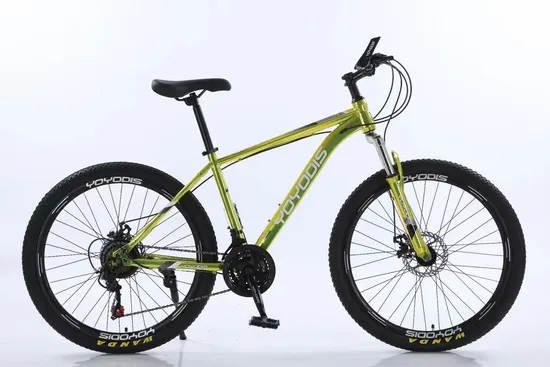 China Wholesale Aluminum Alloy Frame MTB Multi Speed 18 Speeds/21speed 26/27.5 Inch 29er Mountain Bike with Suspension