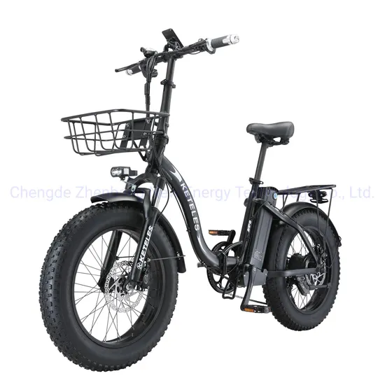 Cheap 20 Inch 48V18ah Folding Ebike Pedal Assisted Electric City Electric Bike Bicycle