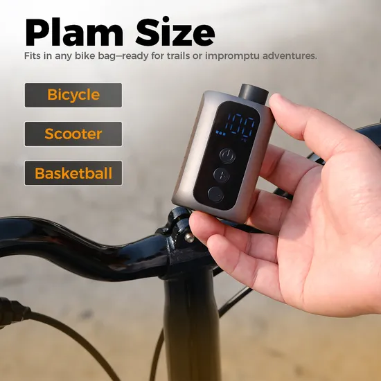 Bike Pump with Gauge Mini Pumpkins for Decorating