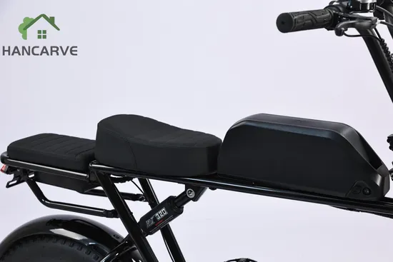 High-Performance Black Electric Mountain Bike with Lead-Acid Battery