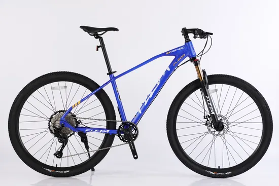 29 Inch High Quality Mountain Bike Made in China