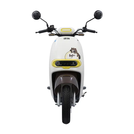 Lvju Electric Scooter Raccoon 1000W 60V/72V20ah Lead Acid Battery Electric Motorcycle