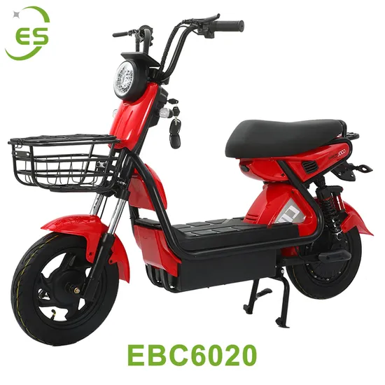 Ebc6020 2023 Cheaper Professional 14 Inch Electric Motorcycle 48V Electric Motorcycle Electric Scooter Hot Sale