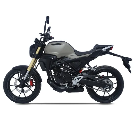 Factory Wholesale Customized 250cc Gasoline Motorcycle Red Sports Motorcycles 4 Stroke Kick Start Sportbikes for Adults