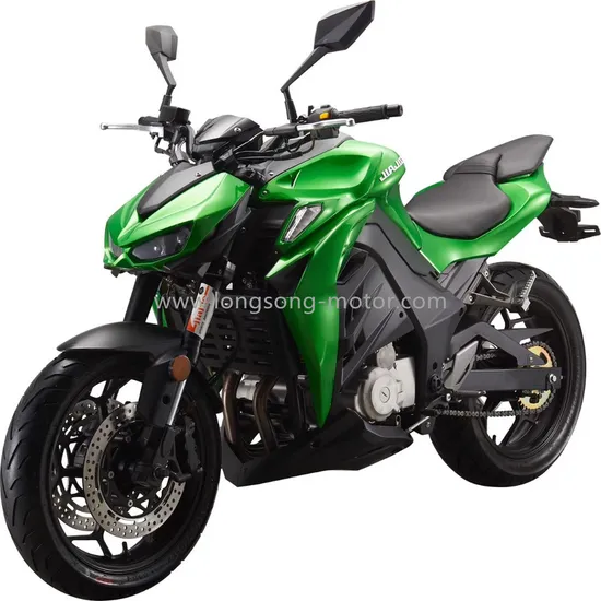 ECE Z1000 High Speed Powerful Adult Racing Sport Kawasaki Motorcycle Gasoline