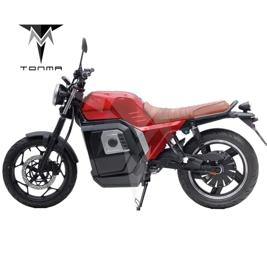 2024 Hot- Selling Electric Motorcycle From China 4000W with High Quality
