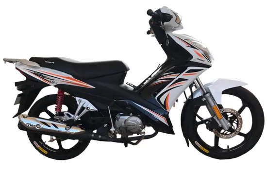 Fenghao Outdoor Durable High Quality 110cc Cub Motorcycle Fh50-3