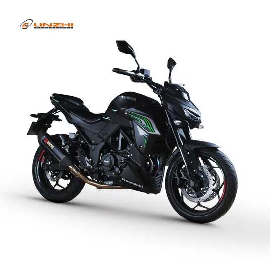 400cc Double Cylinder Street Motorcycle Racing Bike Sports Motorbike Chopper A1-5