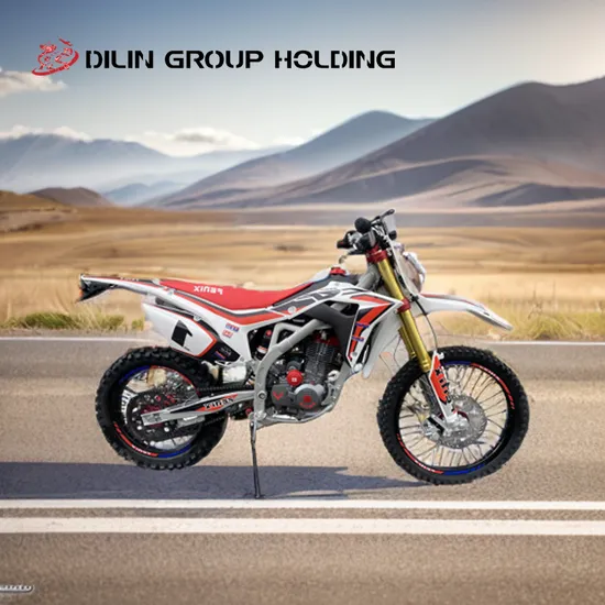 250cc Power Gasoline Motorbike with Enhanced International 6 Gears, Single Cylinder Motorcycle, Rally Gasoline Motor