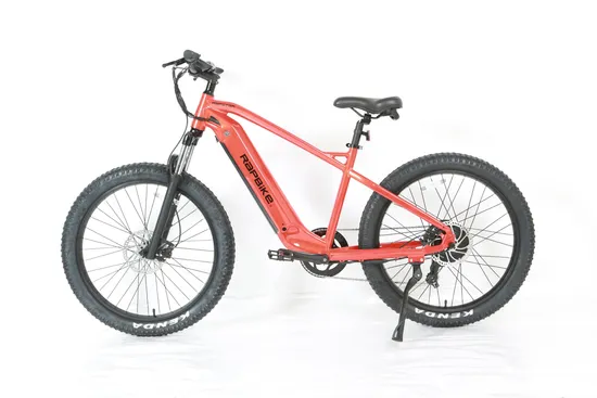 Fat Tire Rear Drive 750W Mountain Ebike in Stock