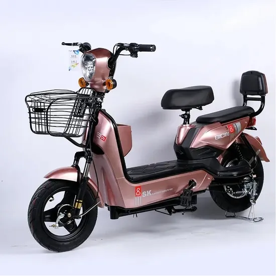 Chinese Wholesale Hot Sale Factory Sell Adult Popular Design Electric Bicycle