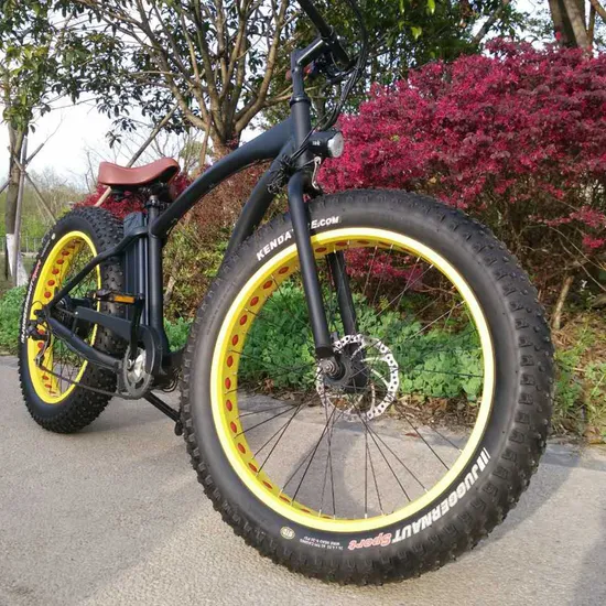 500W/750W Bafun Bafang Motor Fat Tire Mountain Wholesale Electric Bicycle