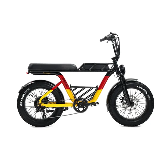 Luxury Sport Electric Fat Tyre Dirt Road Beach Moped Bike Ebike with Powerful Motor