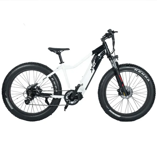Cheap 48V Electric Mountain Bike Hunting Offroad Dirt Fat Tire for Sale