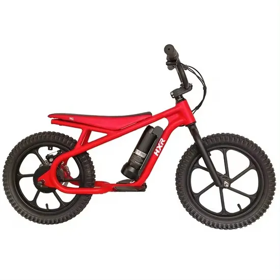 Balance Electric Bike for Kids with CE
