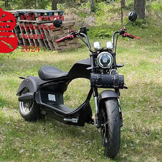 Power Racing off Road Adult Electric Dirt Motocross Bike E Scooter Motorcycle