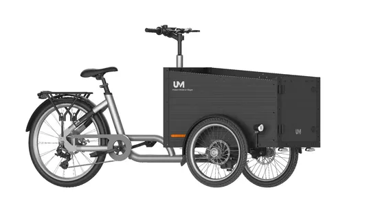 Durable Steel Frame E-Bike Designed for Urban Family Transport