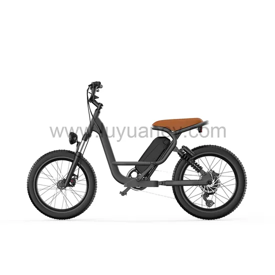 EB S2 Electric Bike NCM Lithium 500W LUYUAN electric vehicle electric bicycle