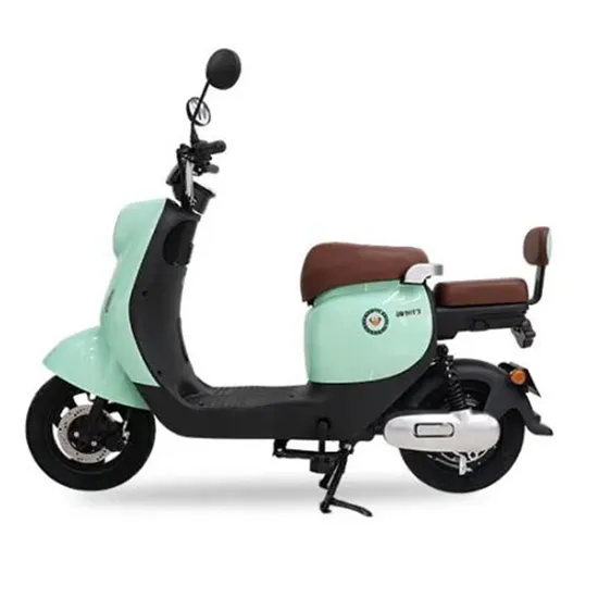 Fashion New Electric Bicycle 48V Comfortable Shock-Absorbing Electric Scooter Bicycle