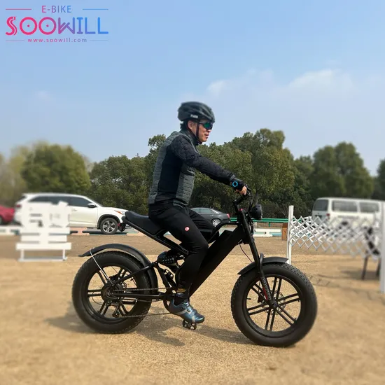 Aluminum Alloy Frame 48V13ah 8-Speed Gears Electric Bike 3 Shock Mitigation System