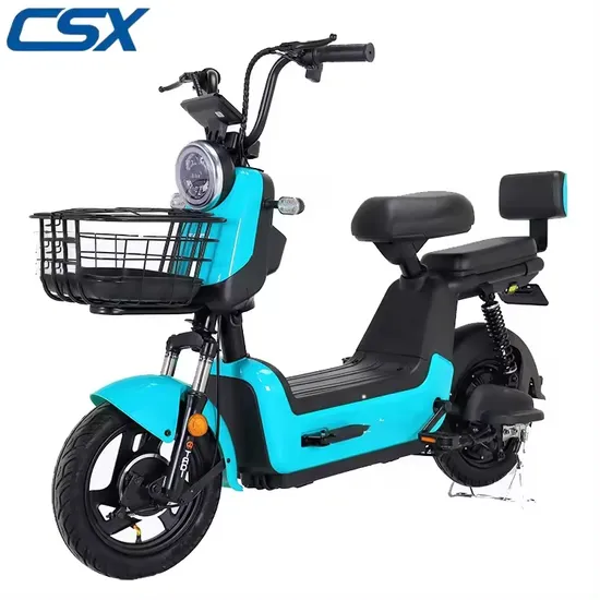 China Adult 2 Seater Scooter City/Urban E Bike 400W 48V_60V 12A Touring Electric Bike