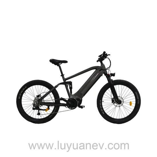 EB 1M Electric Bike NCM Lithium 500W LUYUAN electric vehicle electric bicycle Black